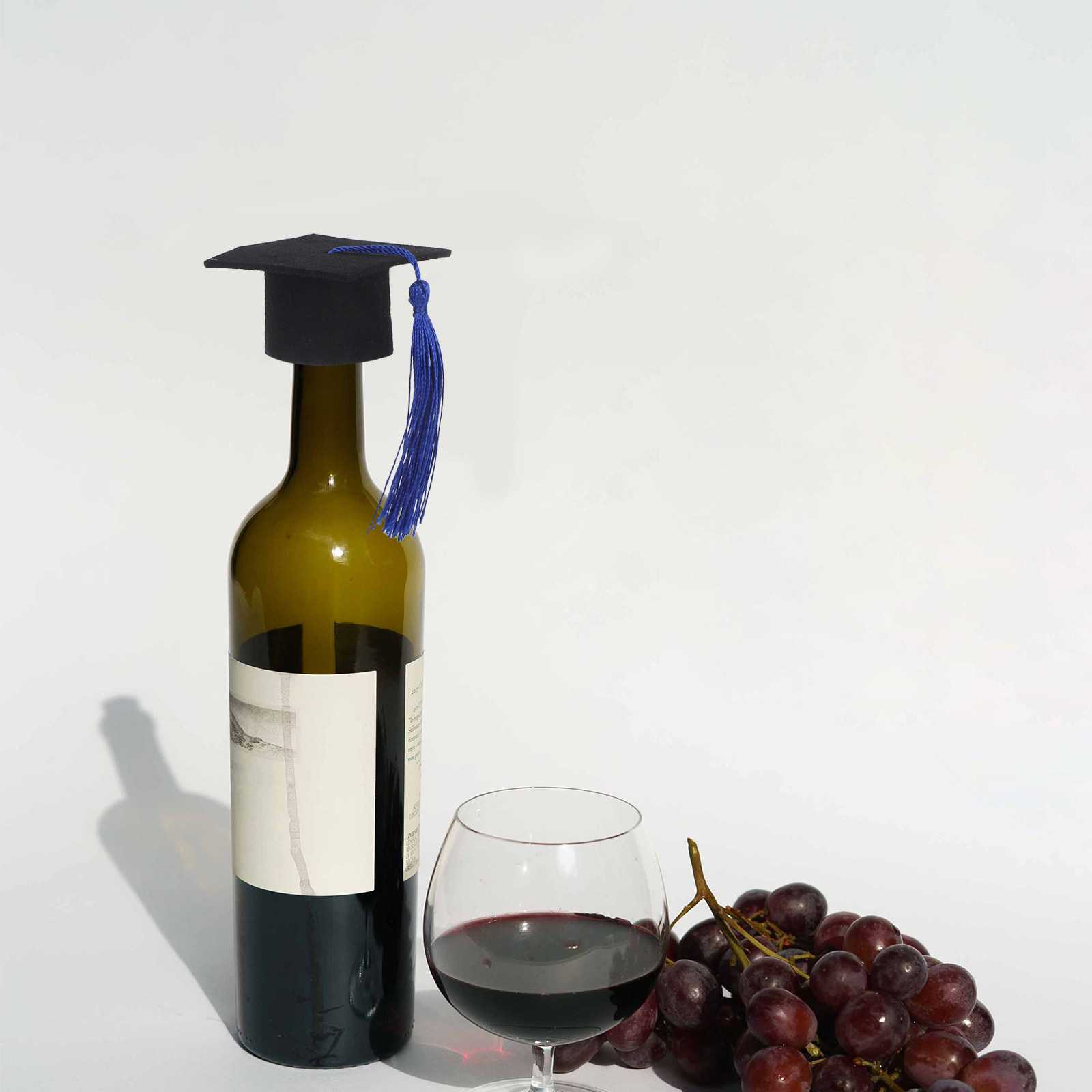 6 stuks mini-doktorhoedjes, fl - Wine Beer Hat recensie en prijs